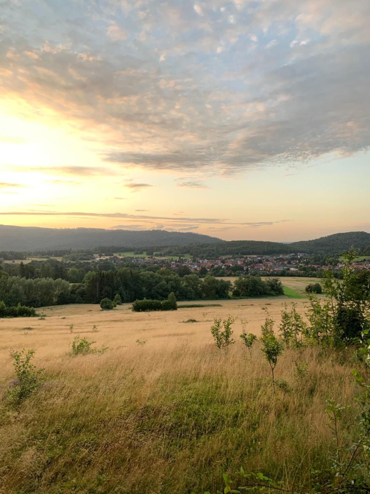 Wolfs-Blick Villa ลางเกลส์ไฮม์ ภายนอก รูปภาพ